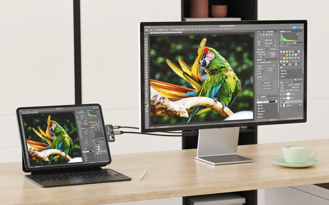 Satechi Mobile XR Hub with microSD Reader attached to a tablet and powering an external monitor, displaying a high‑resolution parrot image for seamless 4K content editing and XR output.