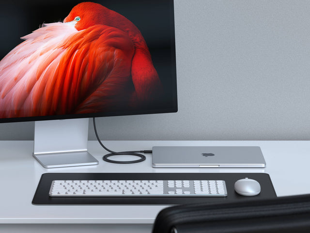 Modern office setup with MacBook using a Thunderbolt 4 Pro Cable to display on a computer monitor a red and pink bird. Nearby is a Satechi Keyboard and M1 Mouse.